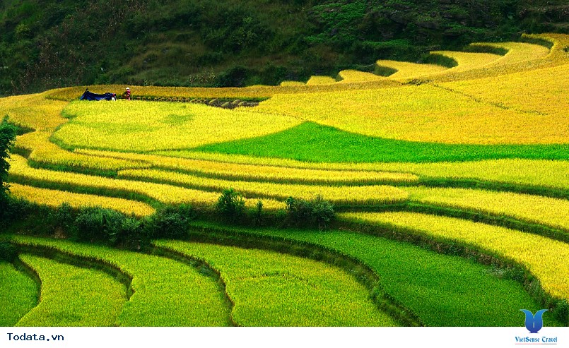 Hoàng Su phì Hà Giang
